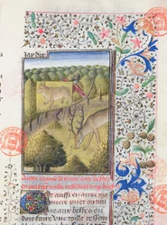 Cazador ocultándose detrás de un señuelo mientras caza un ciervo, del Livre de la Chasse de Gaston Phebus de Foix (1331-91)