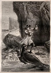 Hundí mi pala en su pecho: Woodes Rogers (1679-1732) atacado por un perro marino (foca) en una de las islas Galápagos en el Océano Pacífico en 1709 - ilustración tomada de 