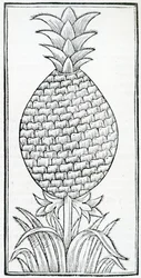 Ilustración de 
