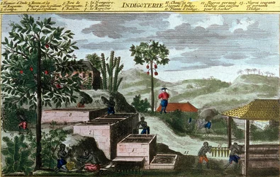 Indigotería en las Indias Occidentales, detalle (00155) - en “Historia General de las Antillas Habitadas por los Franceses” por Du Tertre, principios del siglo XIX