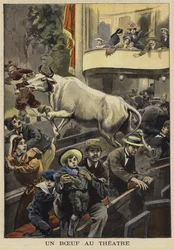 Interrupción de una función teatral por un buey, Villefranche-de-Lauragais, Francia, 1897