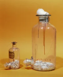 Frasco usado por Louis Pasteur (1811-95) en su investigación