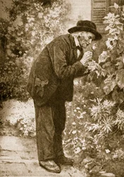 Jean-Henri Fabre observando insectos