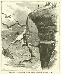 La caza de pingüinos