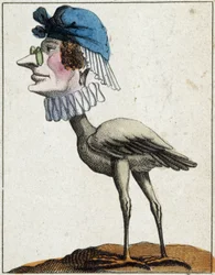 La cigüeña en caricatura, estudio de carácter "carácter volátil" s. XIX, imaginería popular