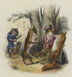 El zorro que tiene la cola cortada