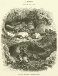 La Madriguera del Zorro