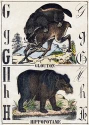 Letra G Glotón; H Hipopótamo. Grabado en "Alfabeto de animales salvajes". 9ª Serie. Imágenes de Epinal, Pellerin, impresor-editor, circa 1870. Grabados en madera, estarcidos. 16 páginas. Dim: 20 x 15 cm. Colección privada