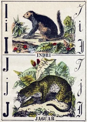 Letra I Indri (Lemur); J Jaguar. Grabado en "Alfabeto de los animales salvajes". 9ª Serie. Imágenes de Epinal, Pellerin, impresor-editor, circa 1870. Grabados en madera, estarcidos. 16 páginas. Dim: 20 x 15 cm. Colección privada