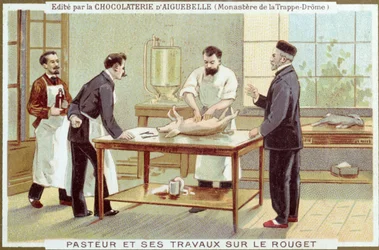 Louis Pasteur (1822-95) trabajando en la investigación del sarampión, tarjeta publicitaria para la Chocolaterie d