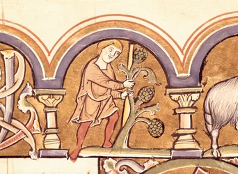Marzo: Injertando árboles, del Salterio de Santa Isabel