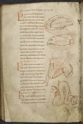 Miscelánea de trabajos sobre computus y astronomía, Royal MS 13 A XI