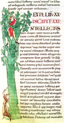 Inicial historiada I que representa a un monje y un laico cortando y podando un árbol, de Moralia in Job de Papa Gregorio el Grande