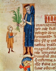 Ms 413 f.92v Plantas medicinales, ilustración de Traité de Médecine por Claudio Galeno (c.130-c.201) traducido por Gerard de Cremona (1114-87)