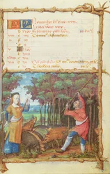 Ms 438 El mes de noviembre: recogiendo bellotas, de un Libro de Horas, 1490