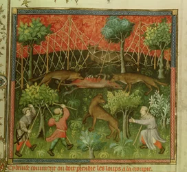 Ms Fr 616 fol.111 Caza de lobos con la ayuda de redes, del Livre de la Chasse por Gaston Phebus de Foix (1331-91)