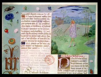Ms Fr 9197 fol.187 Pan, del Livre des Eschecs D