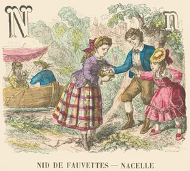 N: Nido de currucas - Moisés