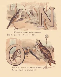 N O: Ruiseñor, nupcial, búho, ortografía