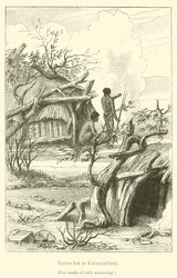 Cabaña nativa en Endrachtland (grabado)