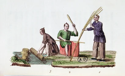 Fabricación de papel a partir de bambú, de La Chine en Miniatures por M. Breton, publicado en París, 1811
