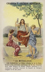 Parcas