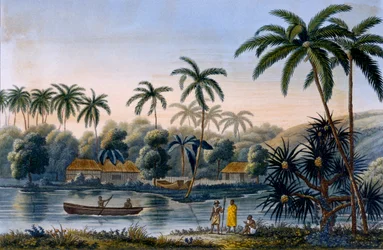 Parte del pueblo de Matavae, palmeras de coco y otras frutas, Tahití, de Voyage autour du Monde sur la Corvette Coquille por el Teniente Louis Isodore Duperrey, publicado en 1826
