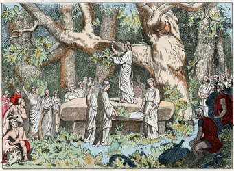 Recolección de muérdago por los druidas en la Galia, finales del siglo XIX (grabado)