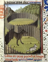 Trampa para lobos - en "Libro de Caza de Gaston Phoebus, Conde de Foix, Señor de Béarn"