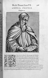 Retrato de Américo Vespucio (1454-1512)