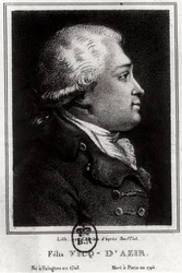 Retrato de Félix Vicq d