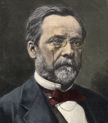 Retrato de Louis Pasteur (1822-1895), químico y microbiólogo inglés