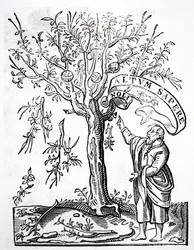Emblema de impresores de Robert Estienne, París, 1526