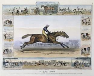 Caballo de carreras en "Historia pintoresca de la equitación antigua y moderna" por Charles Aubry