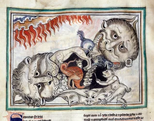 Representaciones de las criaturas del inframundo venciendo a las maldiciones Miniatura tomada del "Apocalipsis de Cambrai" iluminada por la escuela francesa del siglo XIII. Ms. 422. Biblioteca Municipal de Cambrai