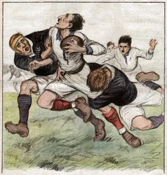 Partido de rugby