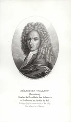 Sébastien Vaillant