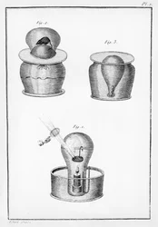 Experimentos científicos, ilustración de Observations sur la Physique, sur l