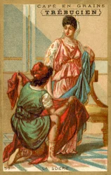 Seda