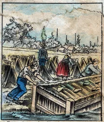 Textil, lino. Óxido de lino: Para separar los filamentos de paja, los haces de lino se sumergen en agua. Grabado. Imagen de Épinal de finales del siglo XIX.