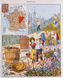 La Vendimia en Borgoña, ilustración de un libro de texto escolar, c.1910