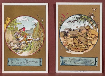 El león y el mosquito, y los animales enfermos de la peste (grabado en color de 