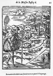 La manera de reducir cualquier tipo de terreno al cuadrado de la encuesta, ilustración de La Agricultura y Casa Rústica por Charles Estienne, edición publicada en 1641