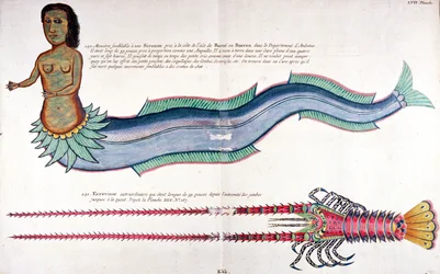 La sirena de Amboyna, de 