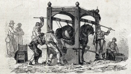 La Escuela Nacional de Veterinaria de Alfort - Las grandes escuelas de Francia - Escuela de Veterinaria de Maisons-Alfort en 1866 - el herraje de los caballos reacios - grabado en «Le Monde illustré» de 1866