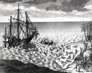 El pelícano hundiéndose cerca de la costa, de Histoire de l