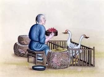 El comerciante de aves de corral, de un libro sobre los pregones callejeros de Pekín, c.1785