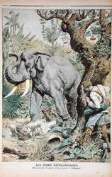 El trágico final de una cacería de elefantes en India, ilustración de Le Petit Journal, 25 de noviembre de 1906