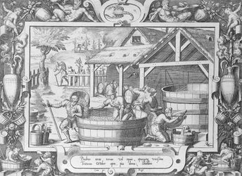 La cosecha de vino