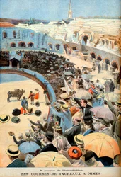 Las carreras de toros en Nimes, reafirmación de la prohibición por la ley Grammont, de maltratar o matar animales